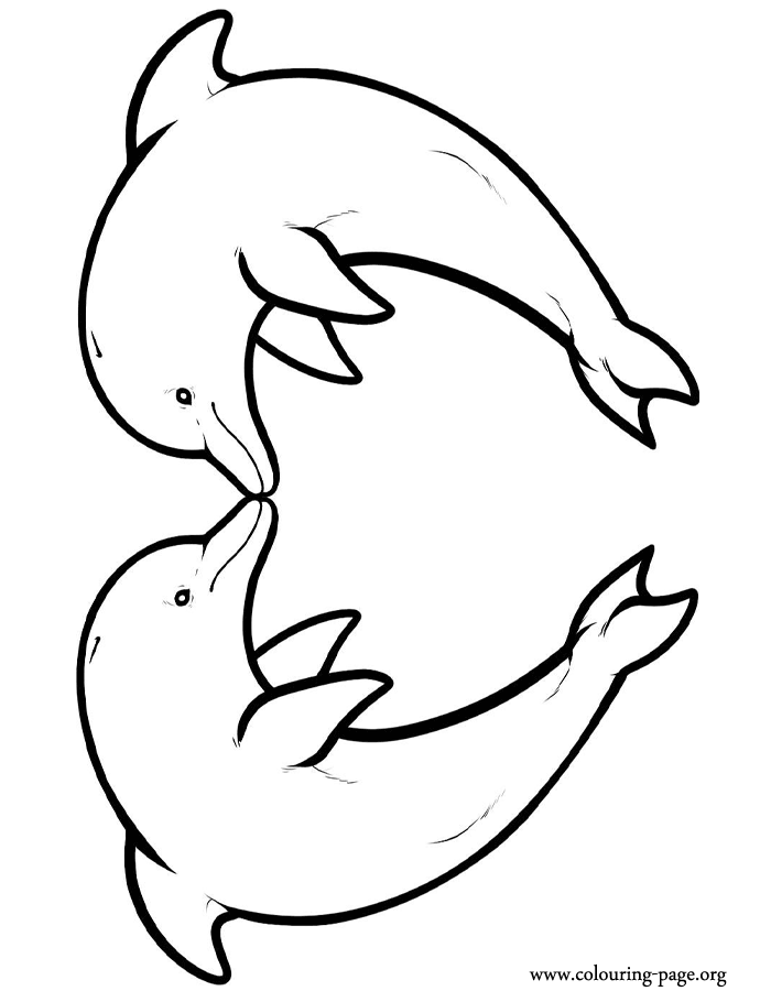coloring pages of dolphin by nora